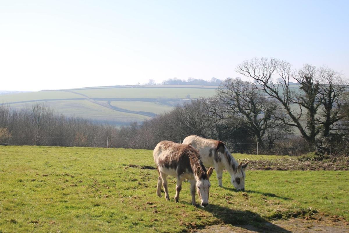Award Winning Lower Whitsleigh Farm Cottage Roborough Экстерьер фото